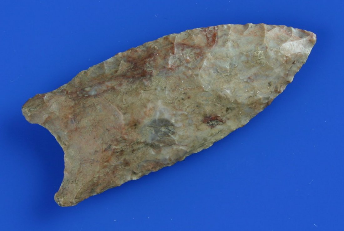 2 3/8" Beaver Lake: Glossy multicolored Prairie du Chien chert. Heavily basal thinned. Found by Karl Schug in Dodge Co., Wisconsin.