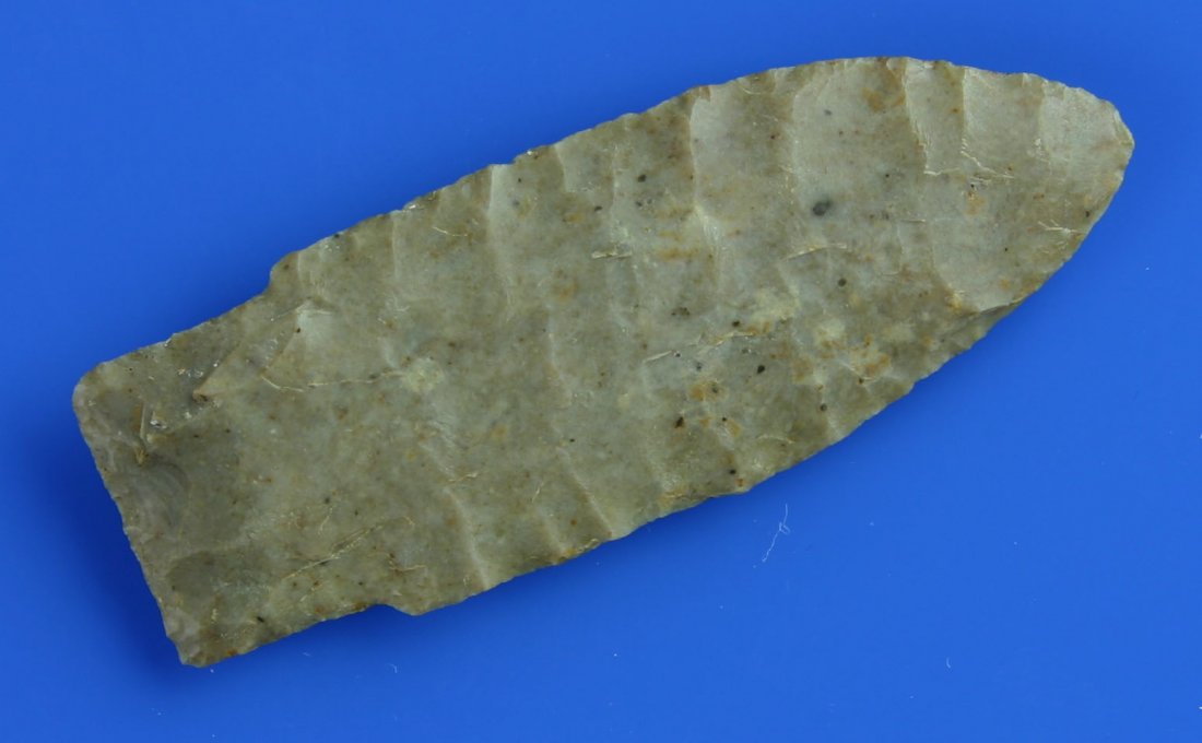2 15/16" Scottsbluff - 3 COA's: Great flaking. Nicely thin. Translucency around the perimeter. Made of Edwards Plateau Chert and found in Andrews Co., Texas. Ex- Karl Clark and Jack Litchfield Collections. Jackson, Partain, and Putt