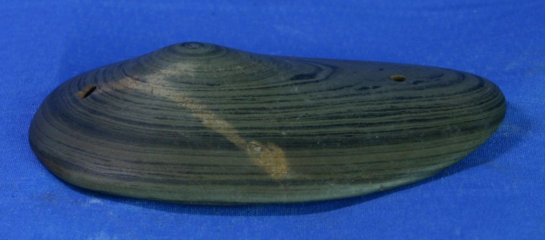 4 3/8" Glacial Kame Gorget - Partain COA: Rare 'humped' style. Drilled from the bottomGreen banded slate coming to a perfect bullseye at the very tip of the hump on top. Truly outstanding. Ex- David Taylor and Charlie West Collections. Lenawe