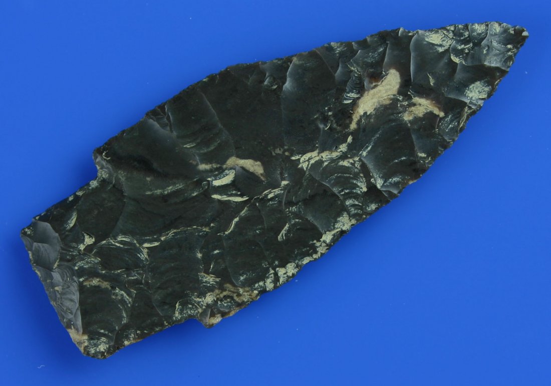 3 1/2" Alberta - Davis G-9 COA: Made of a glossy high grade blackish chert with translucency around the perimeter. Thin with a long stem and a needle tip. Loaded with calcium carbonate. Found in Nebraska.