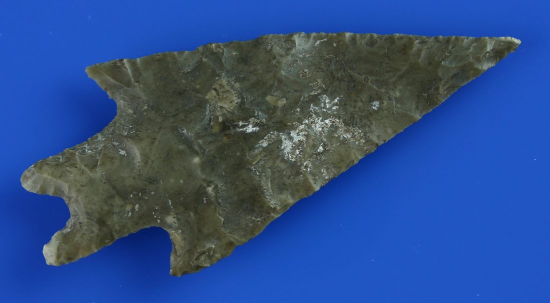 3 5/8" Pedernales: Extra nice and extra large example from Travis Co., Texas. Classic Edwards Plateau Chert with a nice mix of colors. Needle tip and needle tangs.