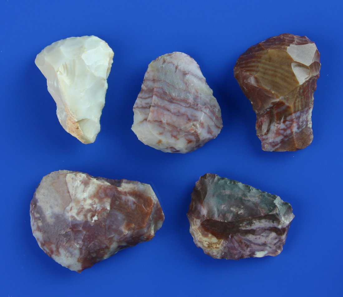 5 Alibates Thumb Scrapers: Super selection of Alibates Flint Thumb Scrapers all found by David Lopez in Guadalupe Co., New Mexico on Private Ranches.