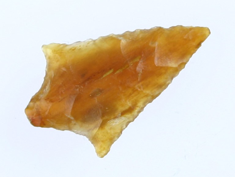 1 7/16" Gary - TRANSLUCENT: Totally translucent Petrified Wood example found in East Texas by Paul Stinson. Orange SODA!