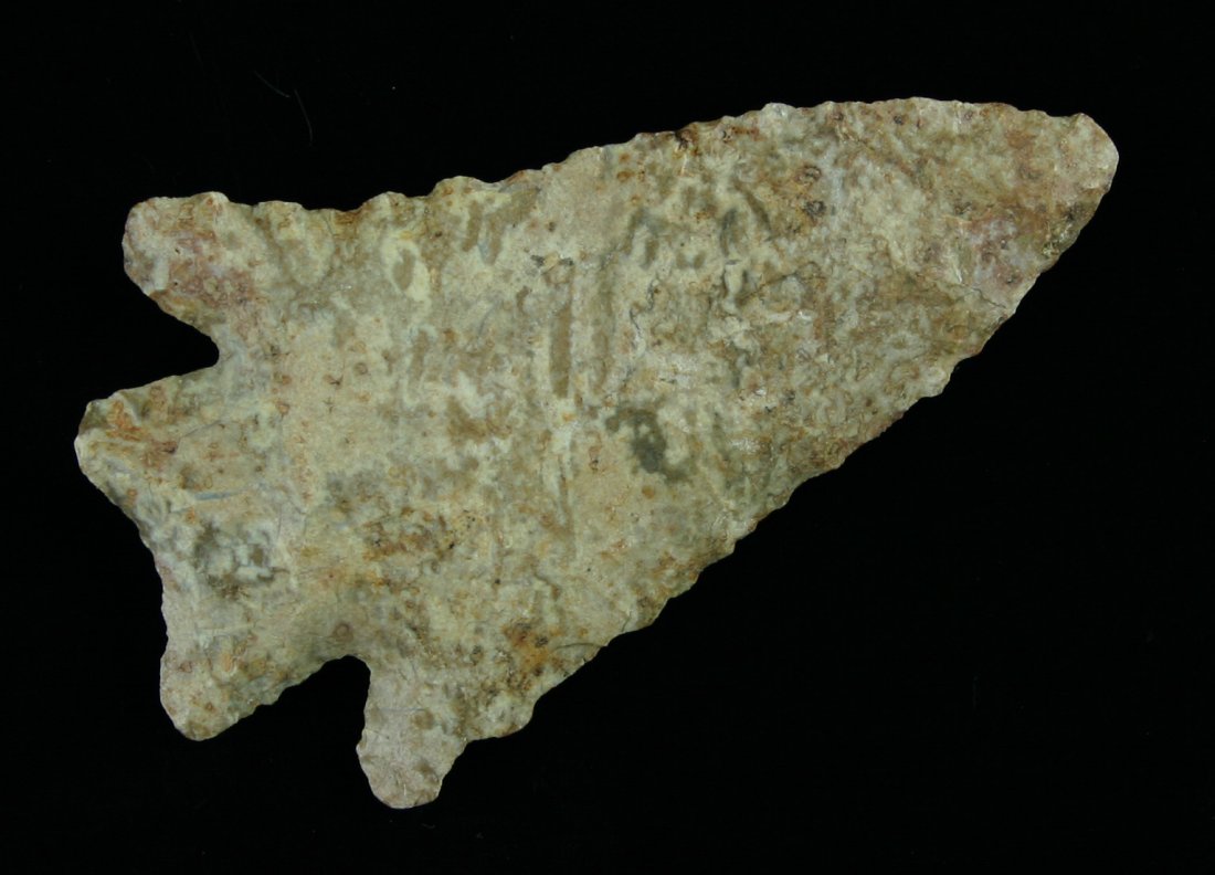 3" Kirk - Davis COA: Extra pretty multicolored Fort payne Chert. Superb craftsmanship. Found in Tennessee. Davis COA.