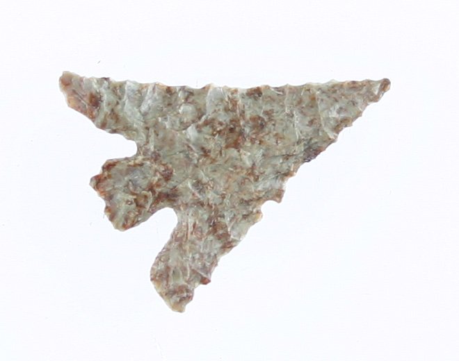 Killer 1 1/16" Columbia Plateau - Jackson G-10 COA: Extra pretty mottled fossil chert with classic 'Kissing Lips' basal configuration. Ex- Floyd Hammond Collection. Yakima Co., Washington. Jackson 'G-10' COA.