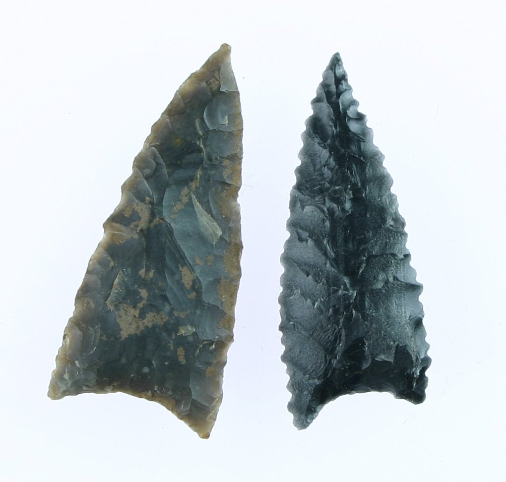 Pair of Super Humboldts: Obsidian and Chert examples from Washoe Co., Nevada. Ex - Stinson Collection.