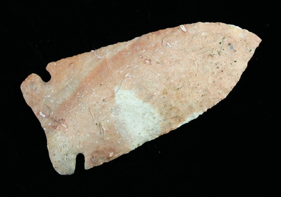 2 13/16" Osceola: Nice example found by Ernest Schug in Jefferson Co., Wisconsin. Pretty pink/cream fossil chert.