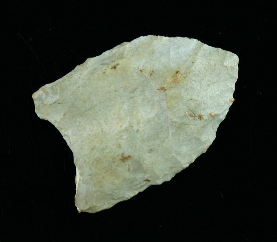 1 9/16" Clovis - Jackson COA: Attica Chert example from Clay Co., Indiana. Ex - John Miller Collection. Jackson COA