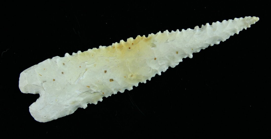 4 3/8" Serrated Montell: Unique eccentric version found by Paul Stinson in Central Texas. Edwards Plateau Chert with residual Caliche.