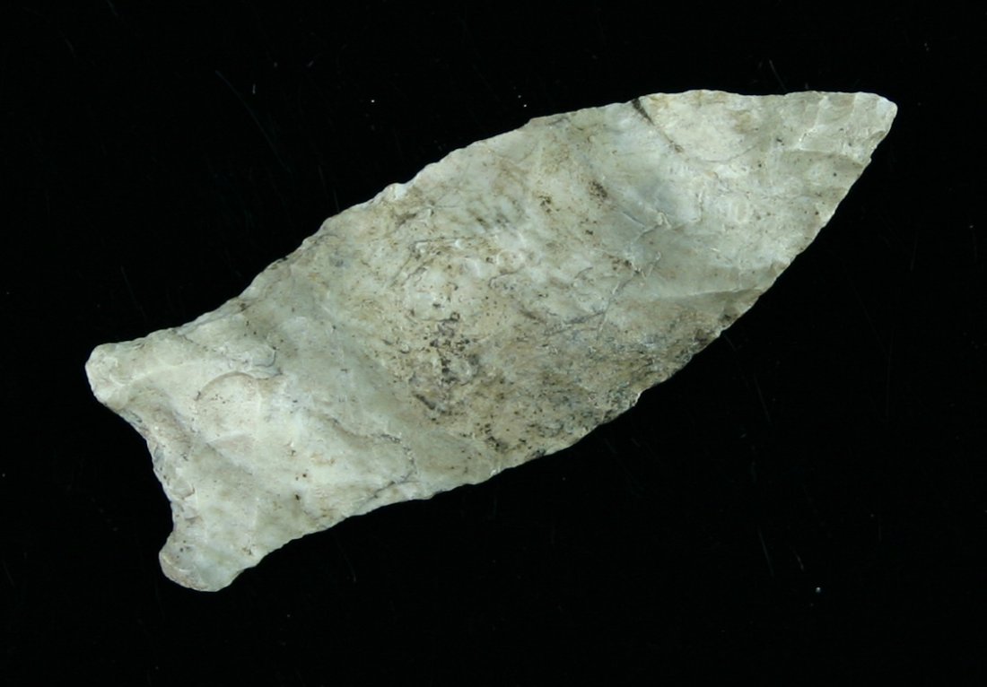 2 3/16" Beaver Lake: Great mineralization on this fossil chert example found by Karl Schug in Waukesha Co., Wisconsin.