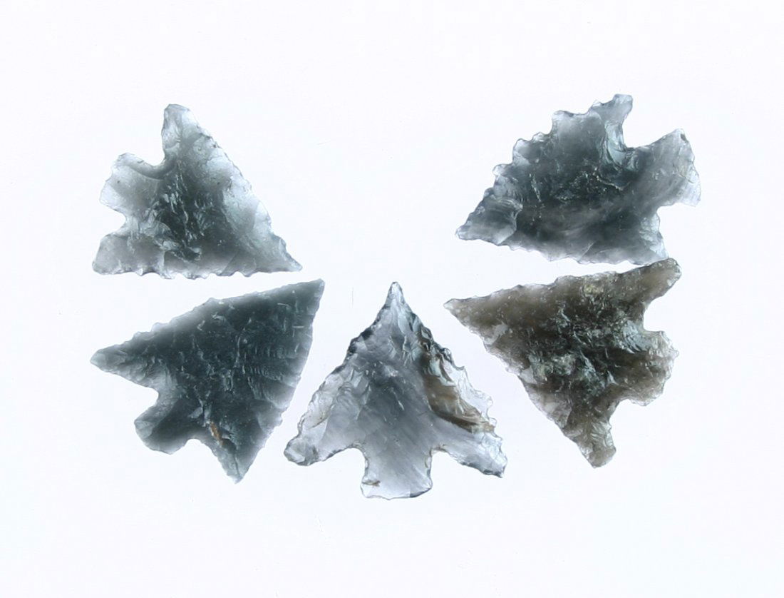 5 Outstanding Calapooya Points from California: All obsidian with varying degrees of serrations and translucency. Literally all perfect examples just under 1" each. All found in Shasta Co., California. Ex- Hulse Collection. Any one is worth $35.00