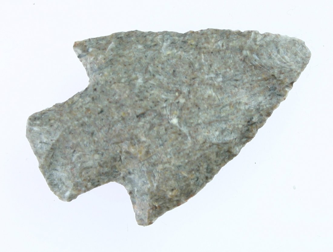 2 7/16" Robbins: Harrodsburg Chert example from KY/IN. Lots of tiny fossils! Ex - Gilbert Collection