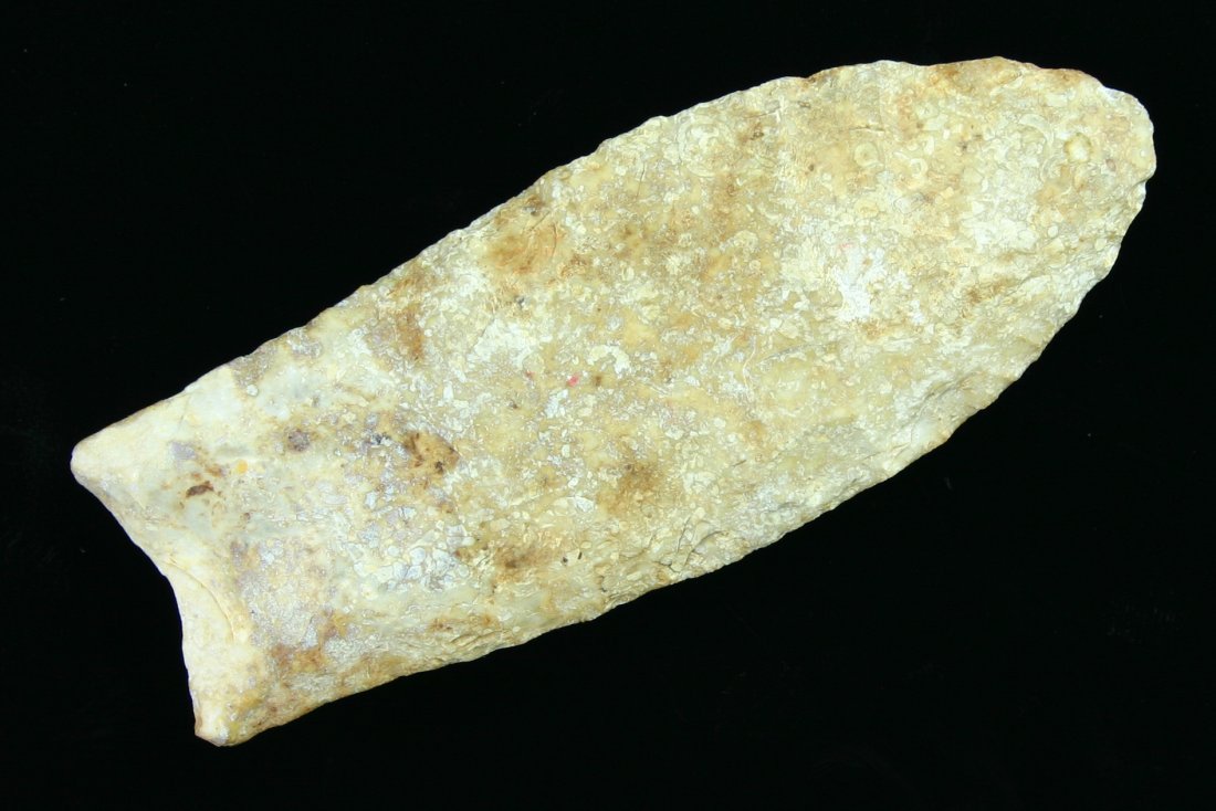 3 3/4" Clovis - Davis COA: Large well made example. Cream colored Harrodsburg Chert. Found in Knetucky. Davis G-8 COA. Davis estimated at $3000-4000.