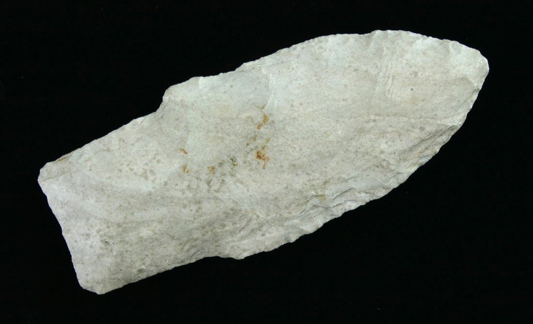 3" Kramer - Rogers COA: Jefferson Co., Illinois example. Rogers COA. Gray fossiliferous Chert.