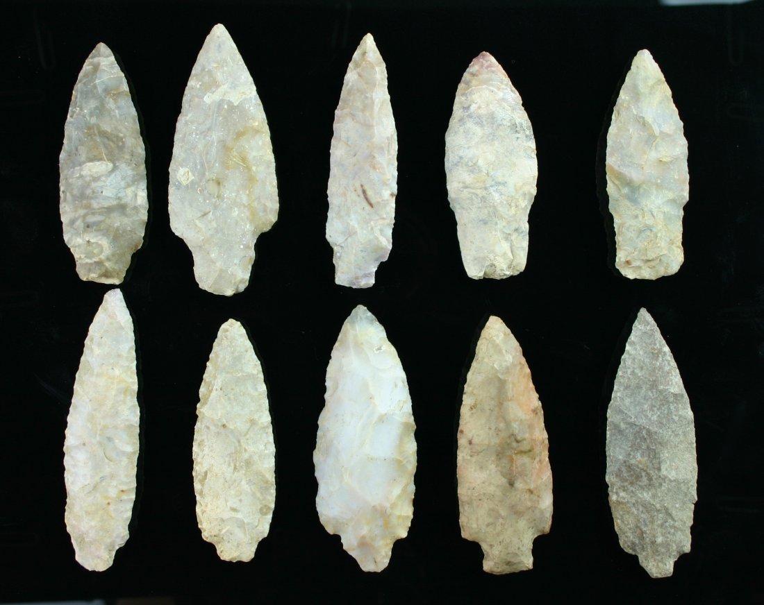 10 Excellent Large Adenas from Kentucky: Biggest 3 3/8". All Boyle Chert. All Ex- Dr. Joe Daugherty Collection of Fayette Co., Kentucky.