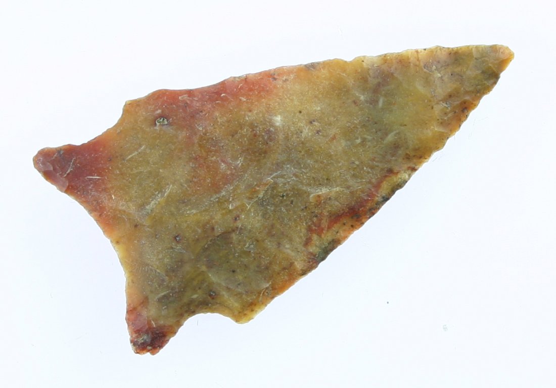 2 5/16" Arredondo: Translucent Fossil chert example from Florida. Ex - Carter Estate Collection.