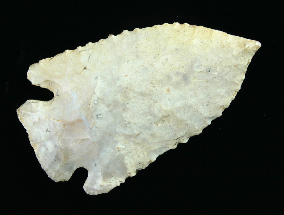 2 7/16" Pinetree - Davis G-9 COA: Fort Payne Chert example from Kentucky Serrated and all there! Davis G-9 COA.