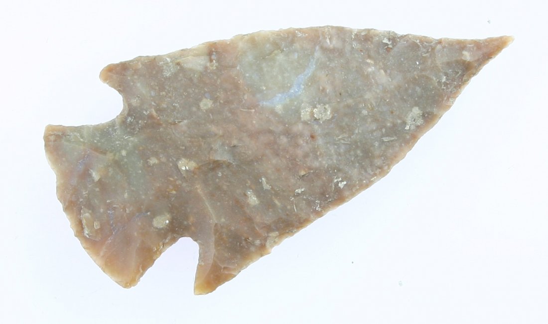 2 3/4" Williams: Edwards Plateau Chert example from Central Texas. Ex - Carter Estate Collection.