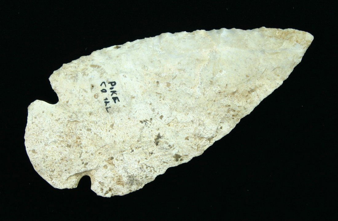 2 15/16" Dovetail - Jackson COA: Well mineralized white Burlington example from Pike Co., Illinois. Ex- Jack Litchfield Collection. Jackson COA.