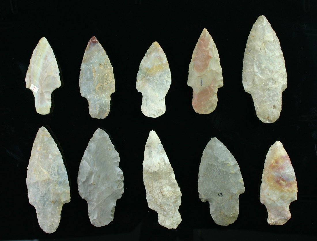10 Excellent Adena from Kentucky: Biggest is 3 inches. Mostly Boyle Chert examples. Some Hornstone and Fort Payne. All Ex- Dr. Joe Daugherty Collection of Fayette Co., Kentucky.