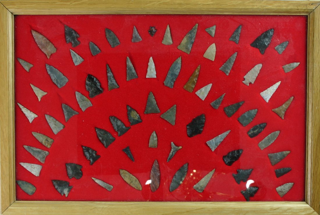 66pc Display of KY Birdpoints: 66 nice pieces in this lot of triangles and other birdpoints from the Carter Estate Collection.