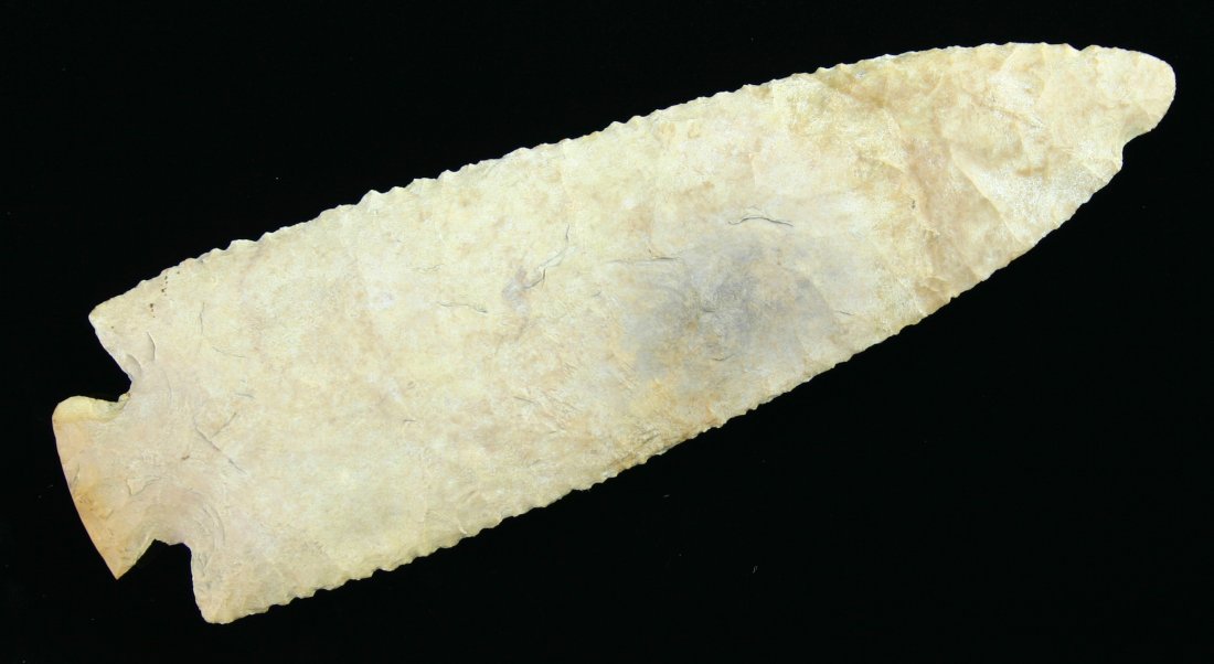 5 3/8" Burined-base Dovetail: Stupendous example. Pretty Avon Chert. Almost first stage form. Exhibits just one light resharpening. Minute secondary retouch serrations extend the length of both blade edges. Found in Lee Co., Illin