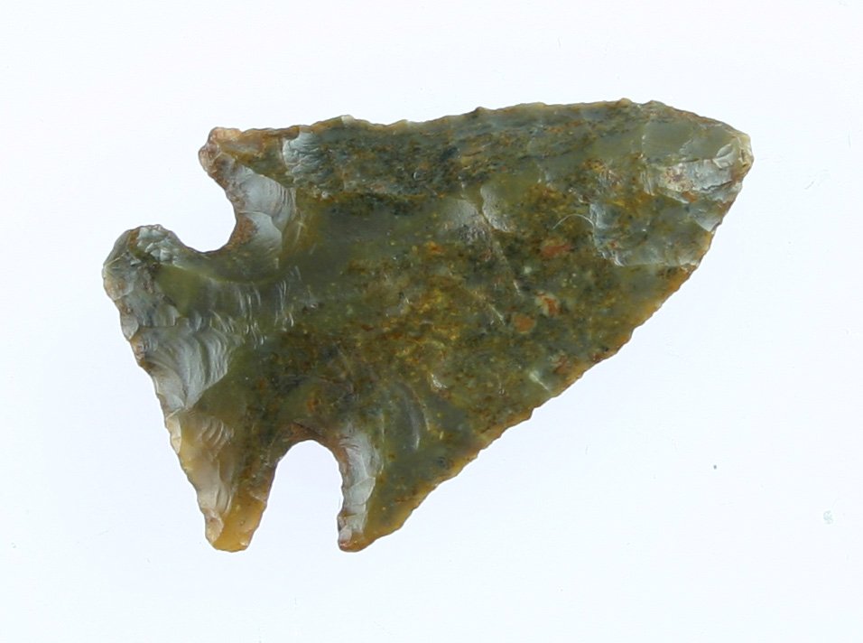 1 9/16" Bolen - Davis COA: Nice example from Florida formerly of the Carter Estate. Heavily river polished/stained. Davis COA.