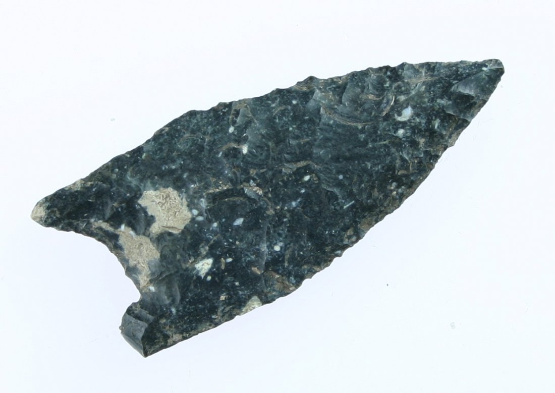 2 3/8" Golondrina: Central Texas exampl in a fossil-laden Owl Creek Chert. Textbook flaking.