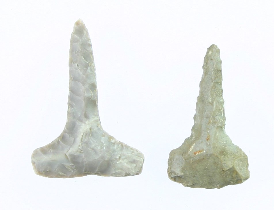 Pair of Nice TX Drills: Fossil chert examples from Central Texas - Ex - Carter Estate.