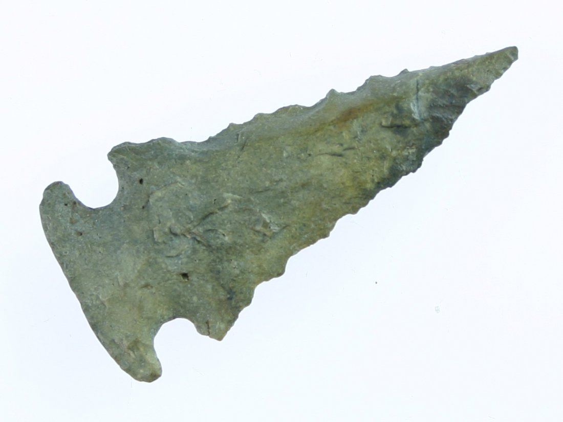2 1/4" Bolen Bevel: Fossil chert example from FL/GA. Ex - Carter Estate Collection. Perfect.