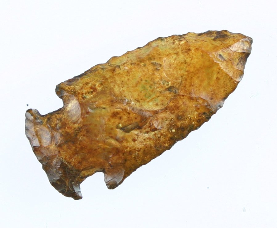 1 3/4" Bolen Bevel: River polished/stained example from Northern Florida. Ex - Carter Estate Collection.