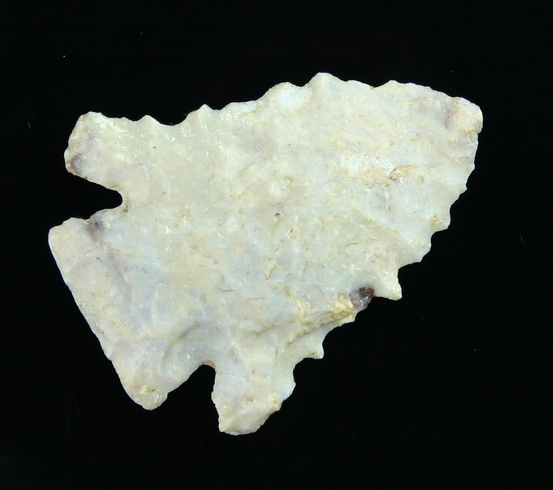 1 13/16" Pinetree - Davis COA: Boyle Chert example from Kentucky. Serrated! Davis COA
