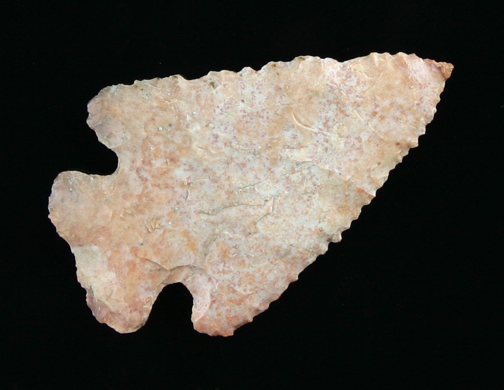 1 15/16" Archaic Corner Notch: Wonderfully serrated piece thinly made from colorful Payson Chert. Found by Karl Schug in Dodge Co., Wisconsin.