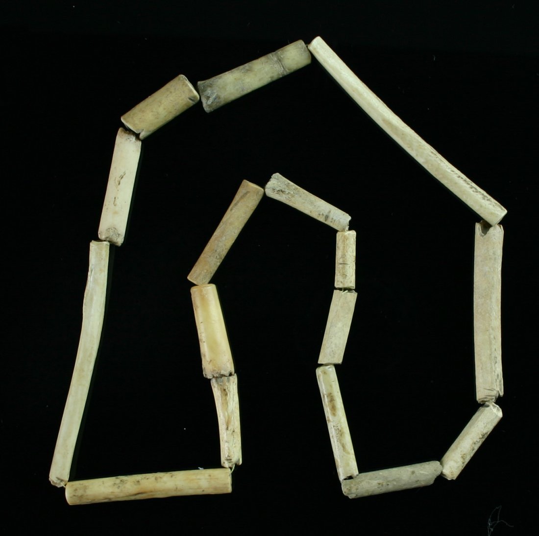 20 1/2" Fort Ancient Bird Bone Necklace- Jackson COA: Great example from the famed Fox Field Site in Mason Co., Kentucky. Ft. Ancient culture. Approximately 700 years old.