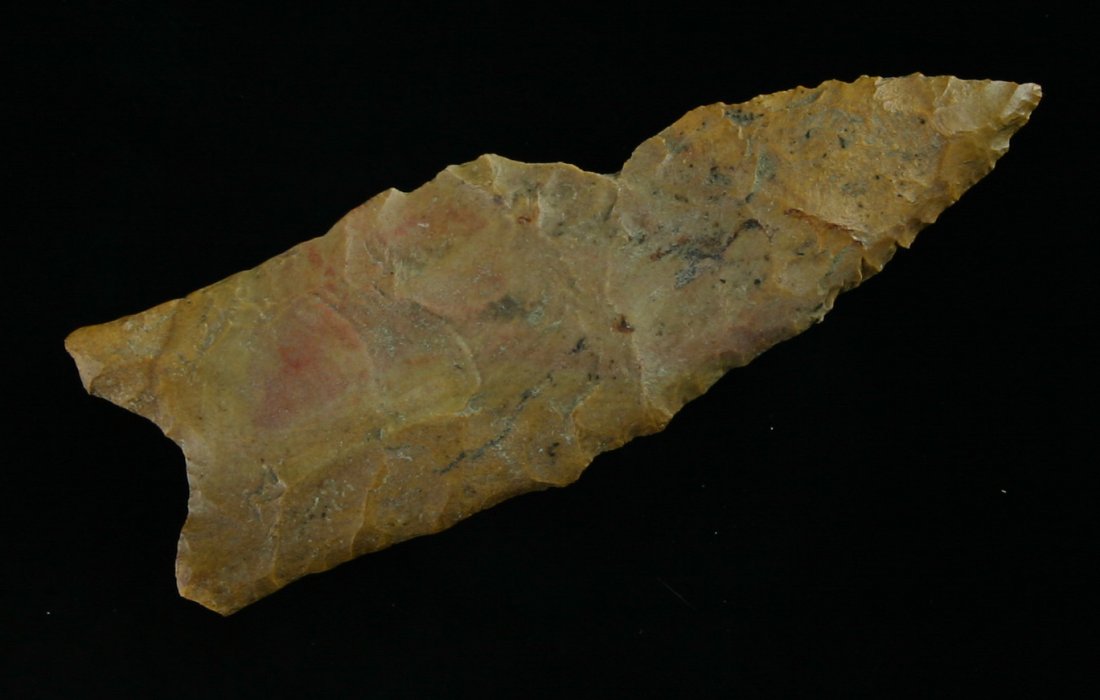 2 3/4" Fluted Dalton - Jackson COA: Fluted example in a orange/brown Crowley's Ridge Cobble Chert from Missouri/Arkansas. Jackson COA.