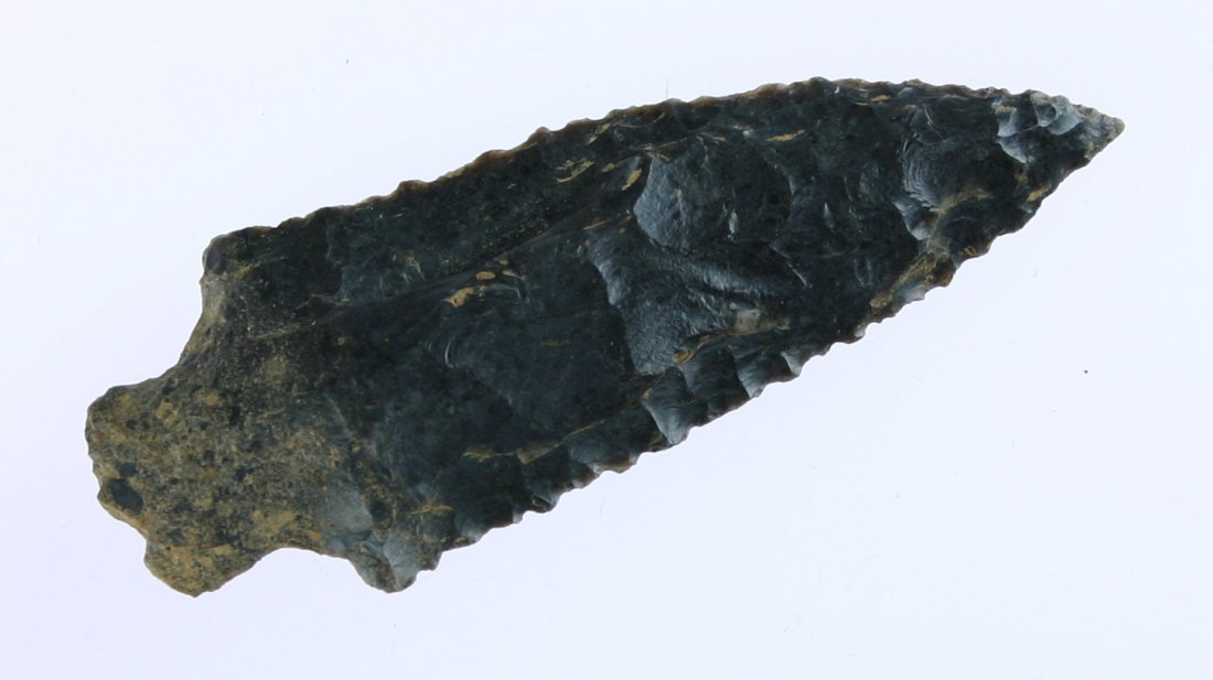 2 7/8" Pickwick: Extra nice example. Glossy well patinated Harrodsburg type fossil chert with super serrations and a needle tip. Found in Southern Tennessee. Ex- Hogberg Collection.