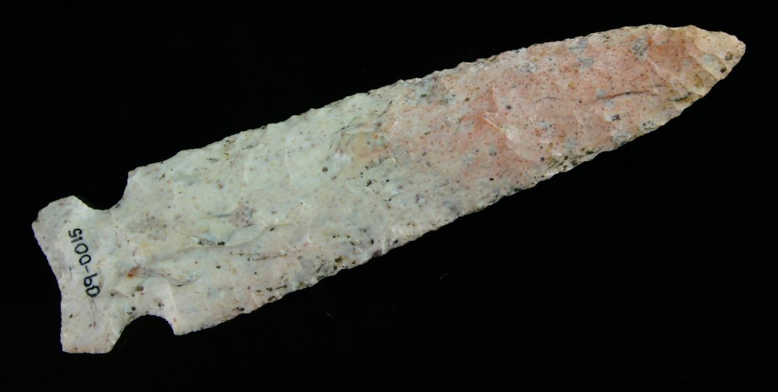 5 5/16" Osceola - Partain COA: Large example in a cream/blush Burlington Chert found in Holt Co., Missouri, formerly of the Horsefly Bush Collection. Great mineralization. Partain COA.