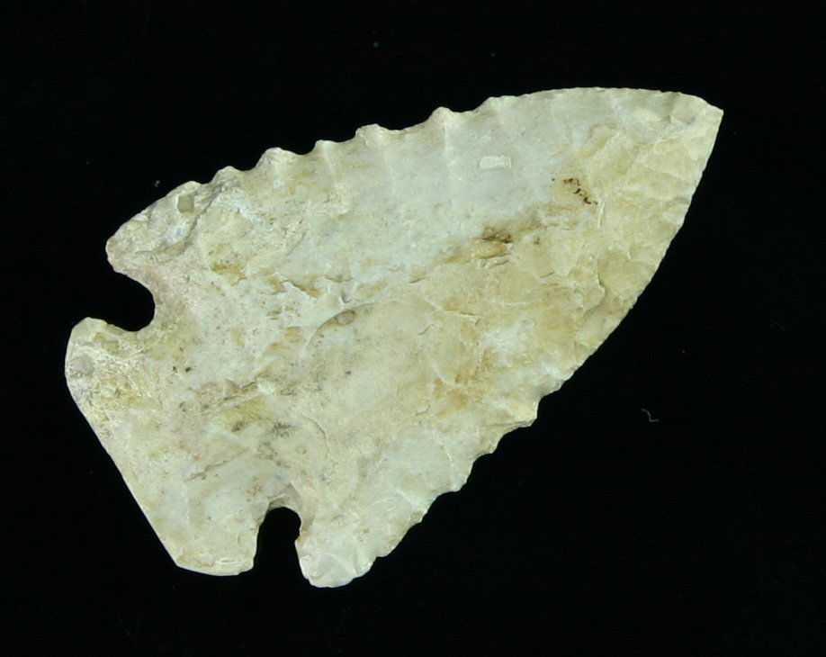 1 3/4" Pinetree - Ex- John Berner: Excellent symmetry and flaking. Needle tip and great serrations. White on one side. Tan and cream on the other. Ex- John Berner.