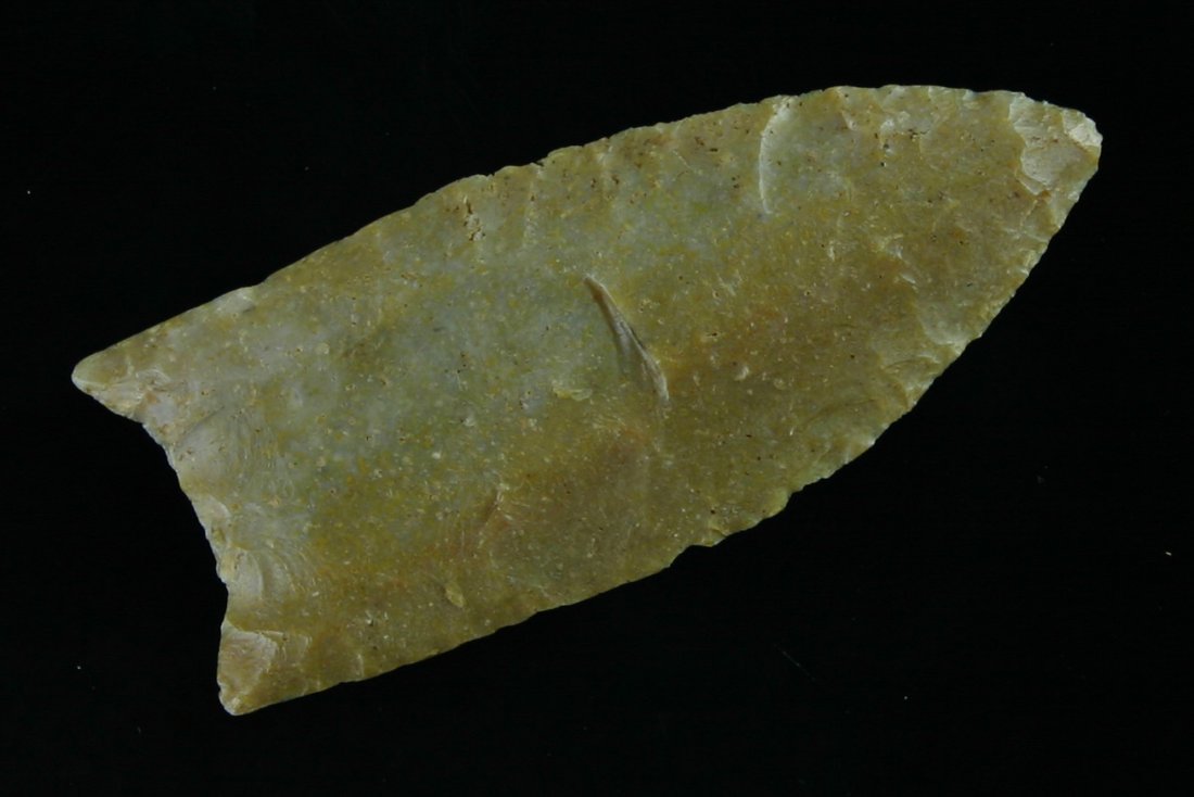 2 9/16" Clovis - Jackson G-9 COA: High grade translucent fossiliferous chert example from Kentucky. G-9 Jackson COA.