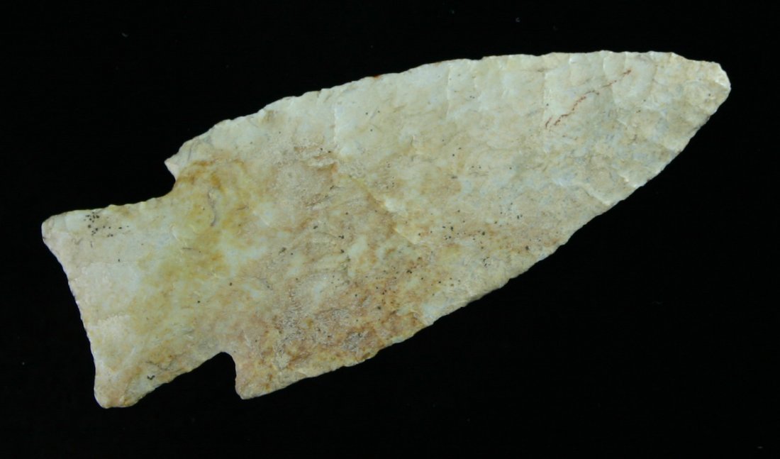 3 1/8" Hardin: Found by Karl Schug in Racine Co., Wisconsin. Very pretty fossiliferous chert.