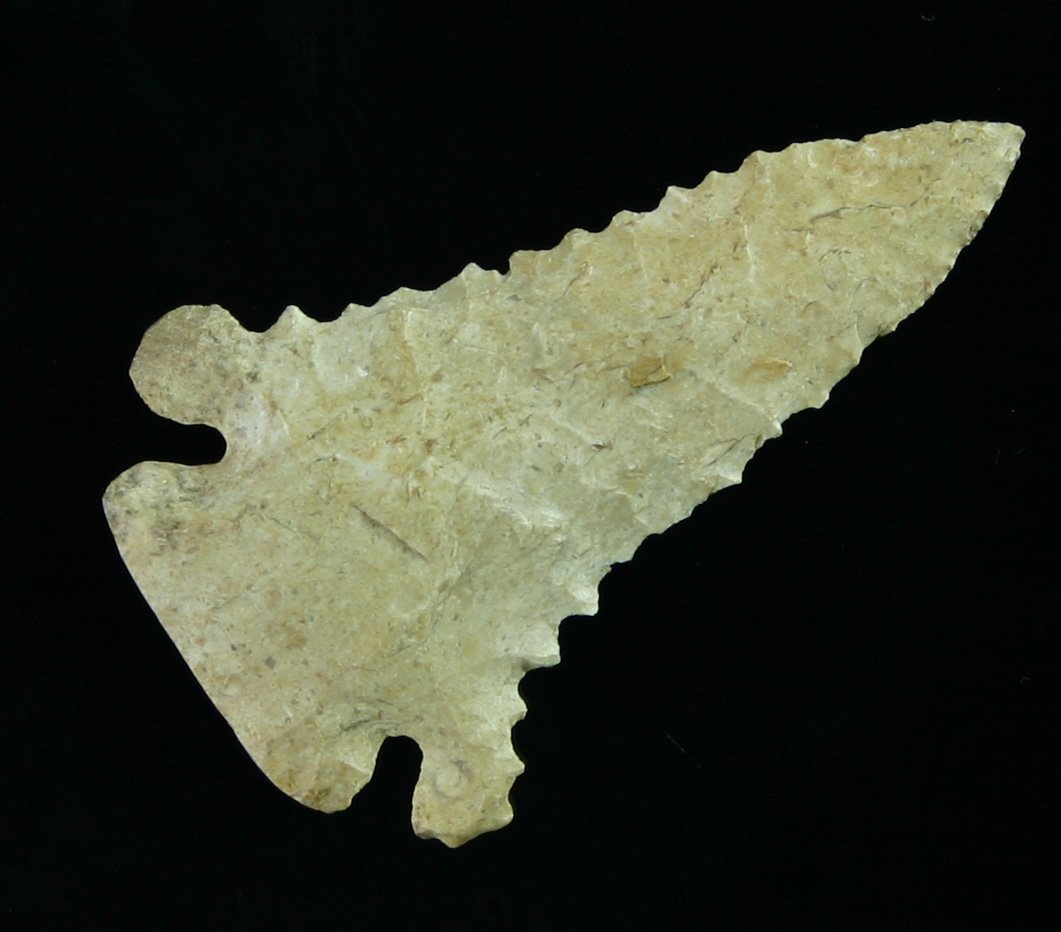 2 3/16" Pinetree - G-10 Jackson COA: Super example with great serrations. Boyle Chert. Central Kentucky - Jackson G-10 COA