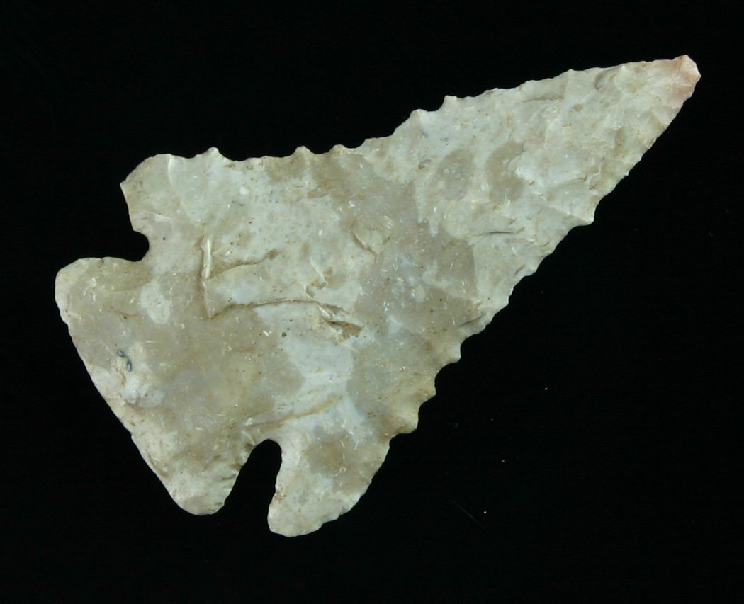 2 1/8" Pinetree - Jackson COA: Serrated cutie from Kentucky. Boyle Chert. Jackson COA.