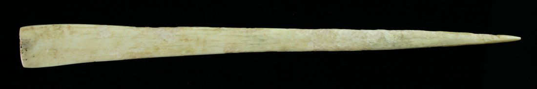 LONG 9 1/16" Bone Hairpin: Superb polish and wear on this example from Pulaski Co., Kentucky. Ex - Bill Carter Estate Collection.