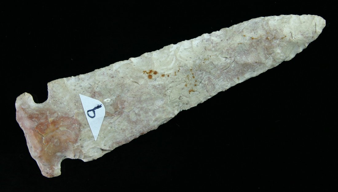 4 3/4" Godar: Large example found by Ernest Schug in Waukesha Co., Wisconsin. Pretty fossil-laden cream chert with orange highlights.
