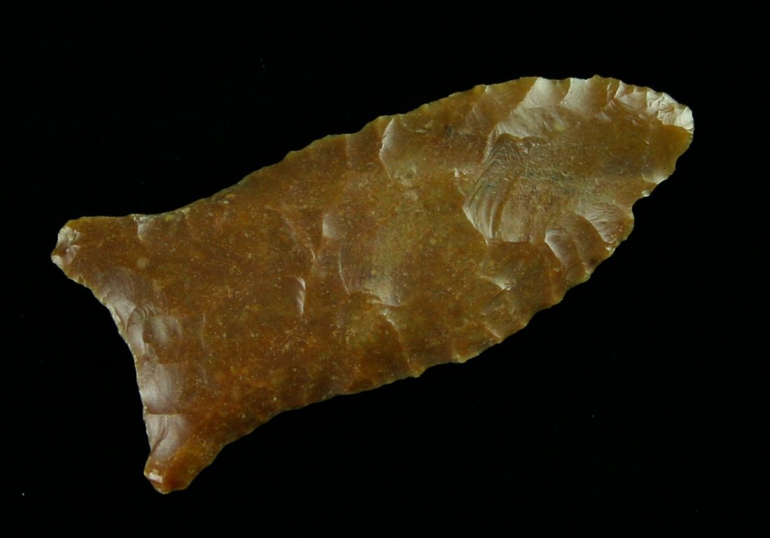 Rare 2 3/8" 'Fishtail-type' Texas Clovis - COA: Rare form recognizable to seasoned Texas collectors.. Made of glossy wll patinated Edwards Plateau Chert. Found in San Patrcio Co., Texas by Robert Pennell about 20 years ago. Has resided in the perso