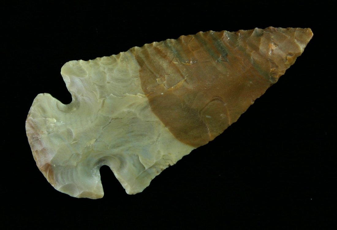 2 7/8" Dovetail - Jackson COA: Truly gorgeous multi-toned brown and cream colored Carter Cave flint. Material has nice translucency. Jackson COA.