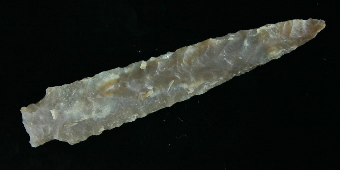 3 1/16" Darl - Rogers COA: Long, slender, and translucent Edwards plateau Chert. Found in the Wilson Co., Texas sandpits. Ex- troy Green. Rogers COA.