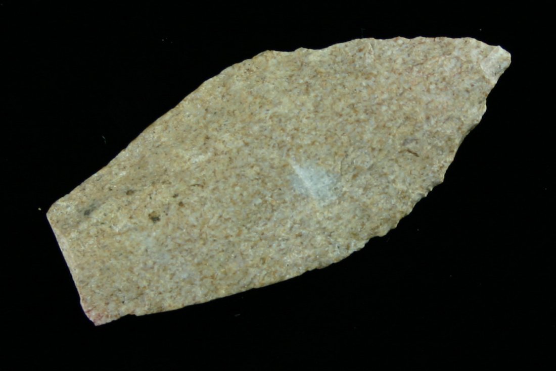 2 9/16" Agate Basin: Harrodsburg Chert example from Northern Kentucky. Literally thousands of tiny fossils. Great mineralization.
