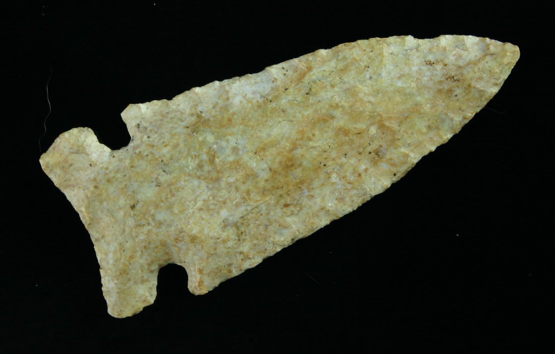 3 1/16" Graham Cave - Jackson G-9 COA: Illinois example in a orange/cream fossiliferous chert. Jackson G-9 COA.