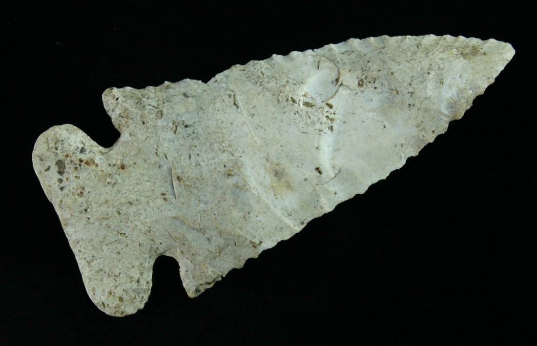 3 7/16" Thebes - Jackson G-9 COA: Super example with great mineralization and serrations. Ohio example in a cream fossil chert. Jackson G-9 COA.